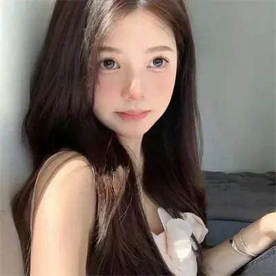 爱是一只猫