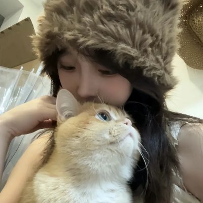 陈辰全明星